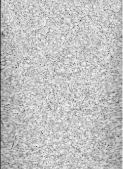 Preview for FieldII_STAI_uniform_fov.uff