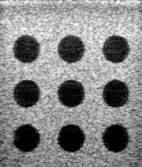 Preview for PICMUS_simulation_contrast_speckle.uff