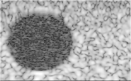 Preview for invitro_20.uff