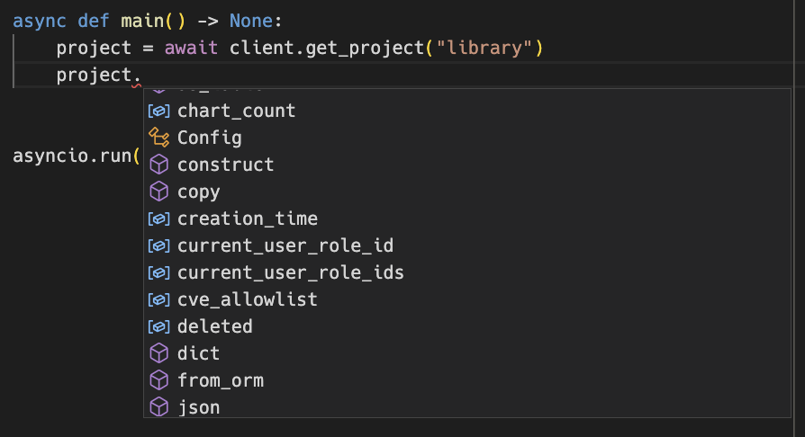 IDE screenshot showing the attributes of a project model instance