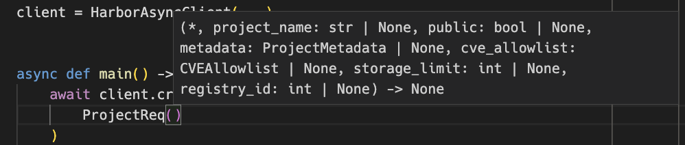 IDE screenshot showing the types of the model fields